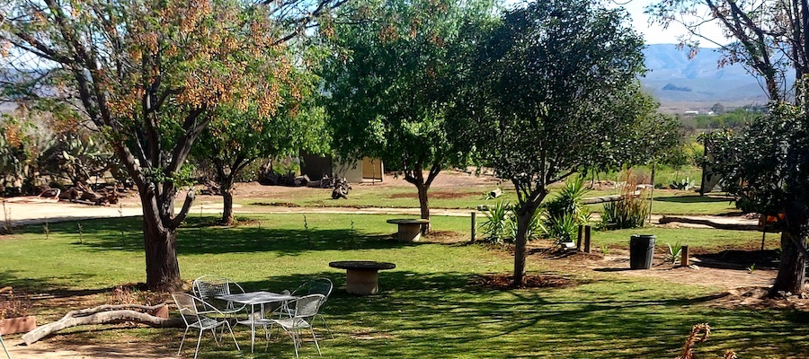 Die Bosvarkie Campsite view